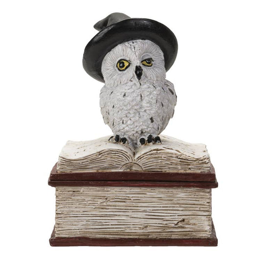 15114 Owl on Spell  Book C/48