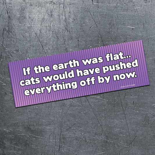 If the Earth was Flat magnet